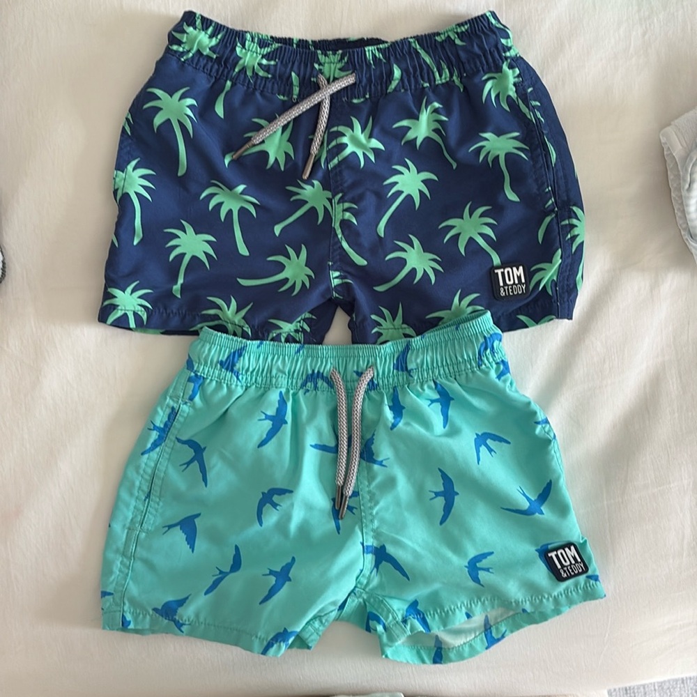 Tom and Teddy Swim Trunks